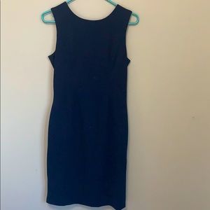 Banana Republic Navy Business Dress